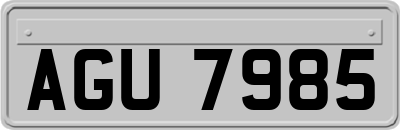 AGU7985