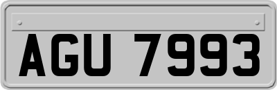 AGU7993