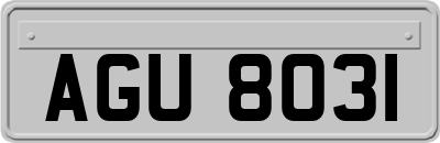 AGU8031