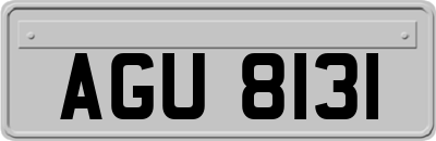 AGU8131