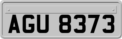 AGU8373