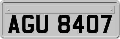 AGU8407