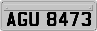 AGU8473