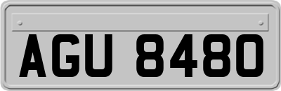 AGU8480