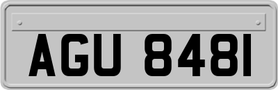 AGU8481
