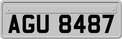 AGU8487
