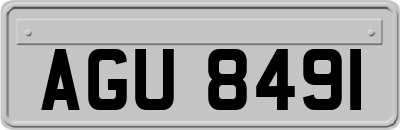 AGU8491