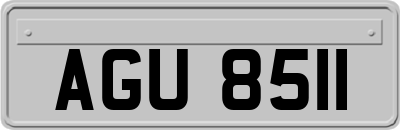 AGU8511