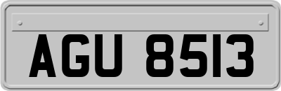AGU8513