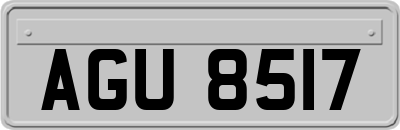 AGU8517