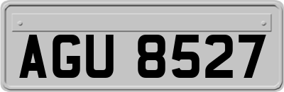 AGU8527