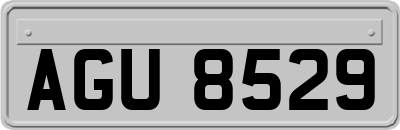 AGU8529