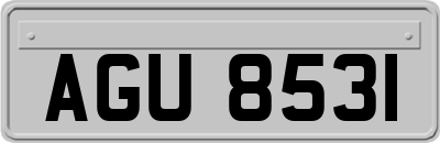 AGU8531