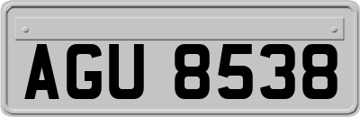 AGU8538