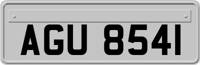 AGU8541