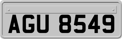 AGU8549