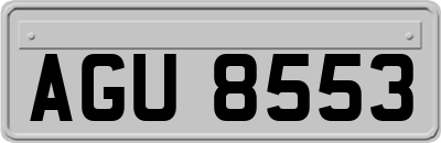 AGU8553
