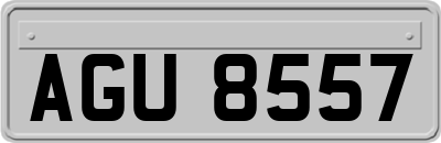 AGU8557