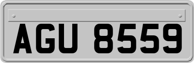 AGU8559