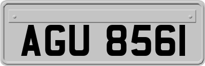 AGU8561