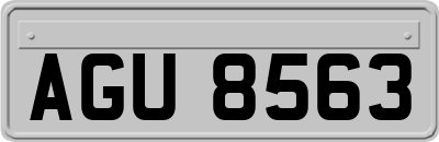 AGU8563