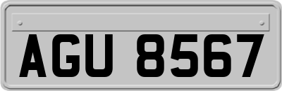 AGU8567