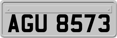 AGU8573