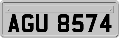 AGU8574