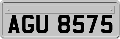 AGU8575