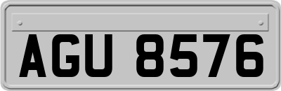 AGU8576