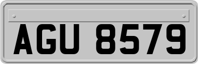 AGU8579