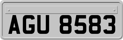 AGU8583
