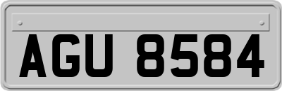 AGU8584