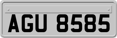 AGU8585
