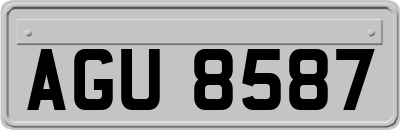 AGU8587