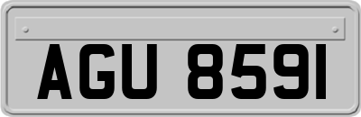 AGU8591