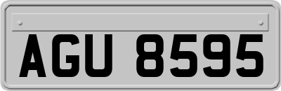 AGU8595