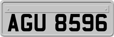 AGU8596