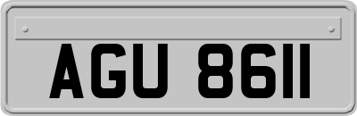 AGU8611