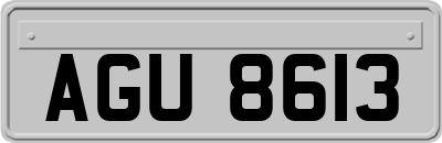 AGU8613