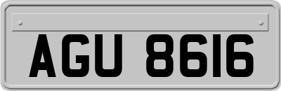 AGU8616