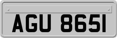 AGU8651