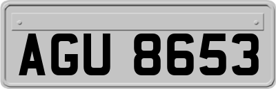 AGU8653