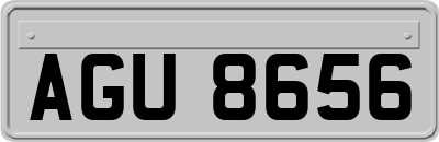 AGU8656
