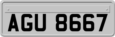 AGU8667