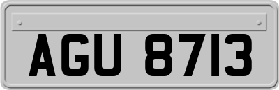 AGU8713