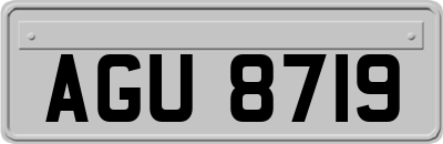 AGU8719