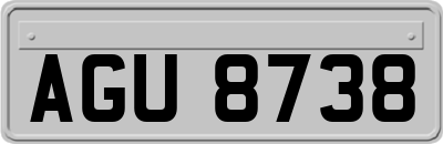 AGU8738
