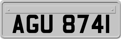 AGU8741