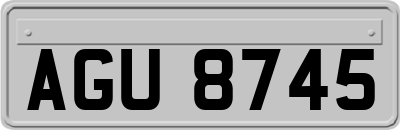 AGU8745